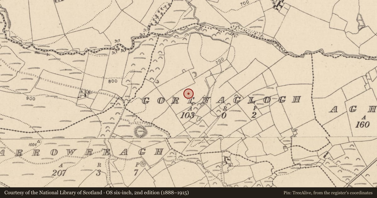 Ordnance Survey six-inch map, 2nd edition (1888–1915) covering the location of Standing stone, Gortnaglogh, County Laois, with a pin at the register's coordinates