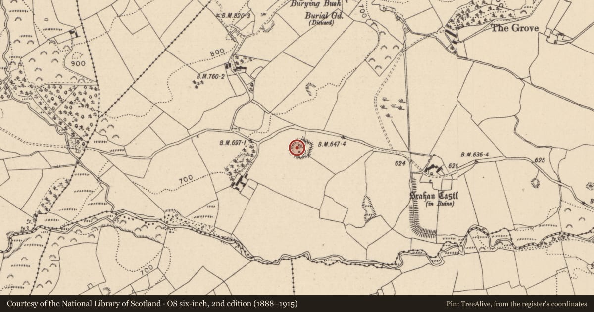 Ordnance Survey six-inch map, 2nd edition (1888–1915) covering the location of Castle - motte and bailey, Srahanboy, County Laois, with a pin at the register's coordinates