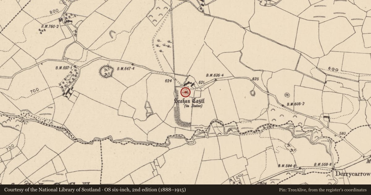 Ordnance Survey six-inch map, 2nd edition (1888–1915) covering the location of Castle - tower house, Srahanboy, County Laois, with a pin at the register's coordinates