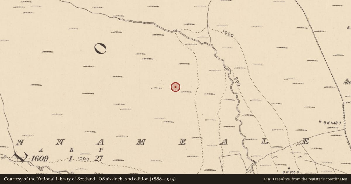 Ordnance Survey six-inch map, 2nd edition (1888–1915) covering the location of Field system, Gorteennameale, County Laois, with a pin at the register's coordinates