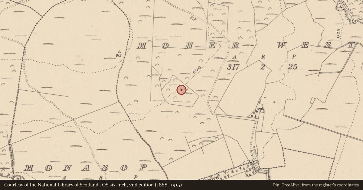 Ordnance Survey six-inch map, 2nd edition (1888–1915) covering the location of Field system, Moher West, County Laois, with a pin at the register's coordinates