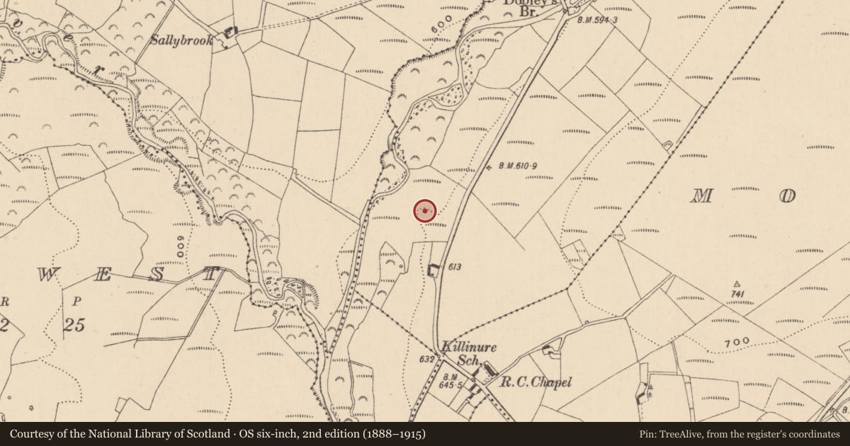 Ordnance Survey six-inch map, 2nd edition (1888–1915) covering the location of Enclosure, Inchanisky, County Laois, with a pin at the register's coordinates