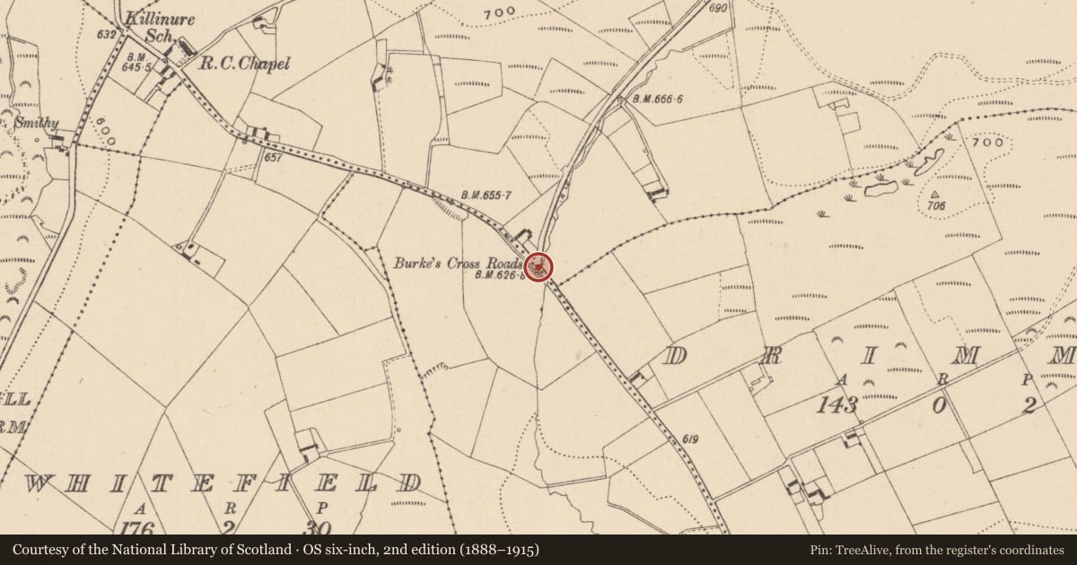 Ordnance Survey six-inch map, 2nd edition (1888–1915) covering the location of Font (present location), Killinure, Mountainfarm, County Laois, with a pin at the register's coordinates