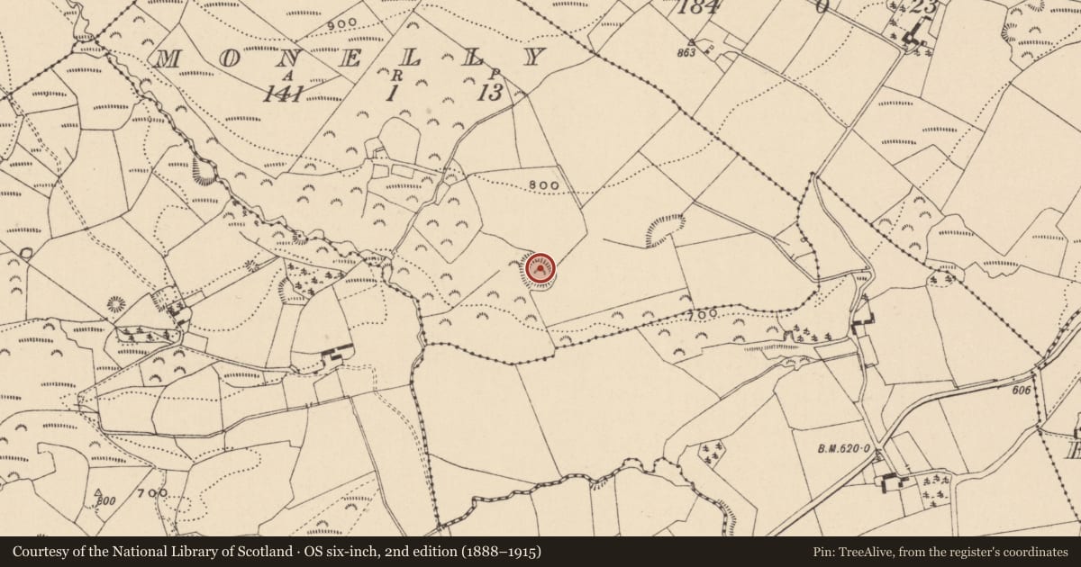 Ordnance Survey six-inch map, 2nd edition (1888–1915) covering the location of Castle - motte and bailey, Monelly, County Laois, with a pin at the register's coordinates