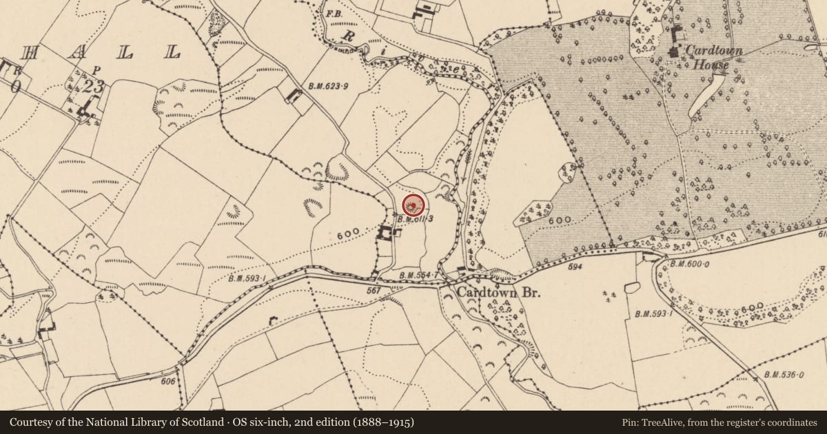 Ordnance Survey six-inch map, 2nd edition (1888–1915) covering the location of Barrow - unclassified, Cummer, County Laois, with a pin at the register's coordinates