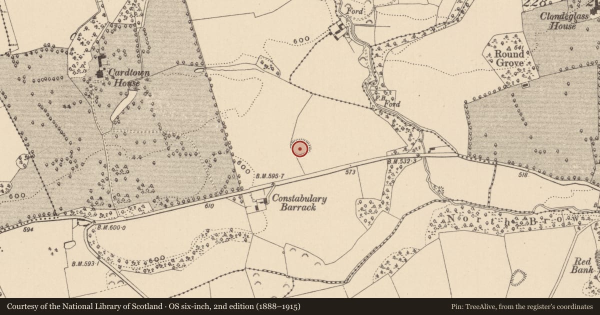 Ordnance Survey six-inch map, 2nd edition (1888–1915) covering the location of Enclosure, Cardtown, County Laois, with a pin at the register's coordinates