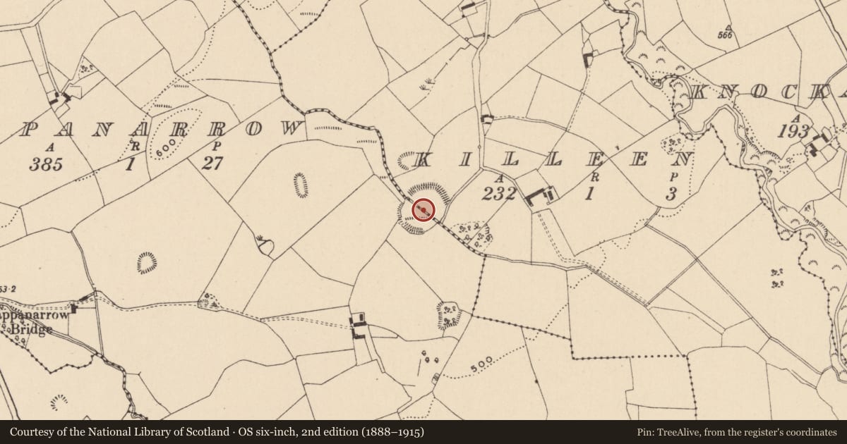 Ordnance Survey six-inch map, 2nd edition (1888–1915) covering the location of Enclosure, Cappanarrow, Killeen, County Laois, with a pin at the register's coordinates