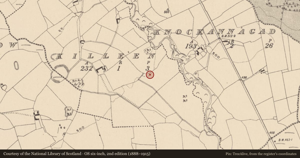 Ordnance Survey six-inch map, 2nd edition (1888–1915) covering the location of Font, Killeen, County Laois, with a pin at the register's coordinates