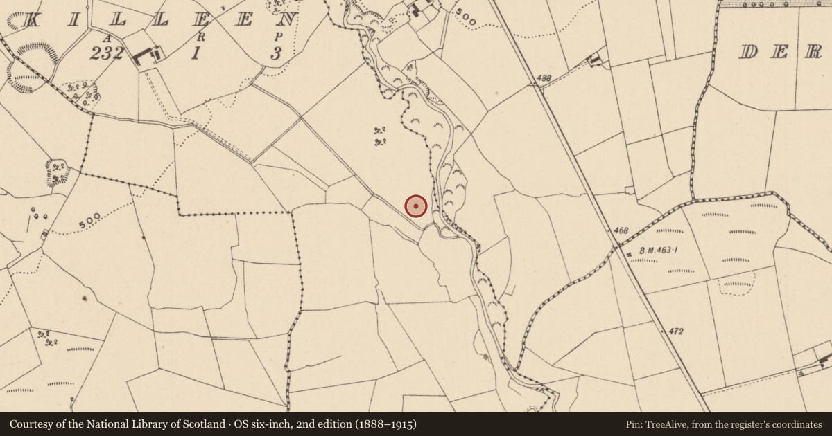 Ordnance Survey six-inch map, 2nd edition (1888–1915) covering the location of Moated site, Killeen, County Laois, with a pin at the register's coordinates