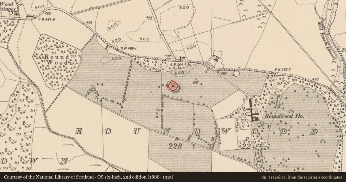 Ordnance Survey six-inch map, 2nd edition (1888–1915) covering the location of Ringfort - rath, Roundwood, County Laois, with a pin at the register's coordinates