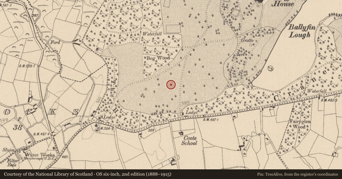 Ordnance Survey six-inch map, 2nd edition (1888–1915) covering the location of Designed landscape feature, Ballyfin Demesne, County Laois, with a pin at the register's coordinates