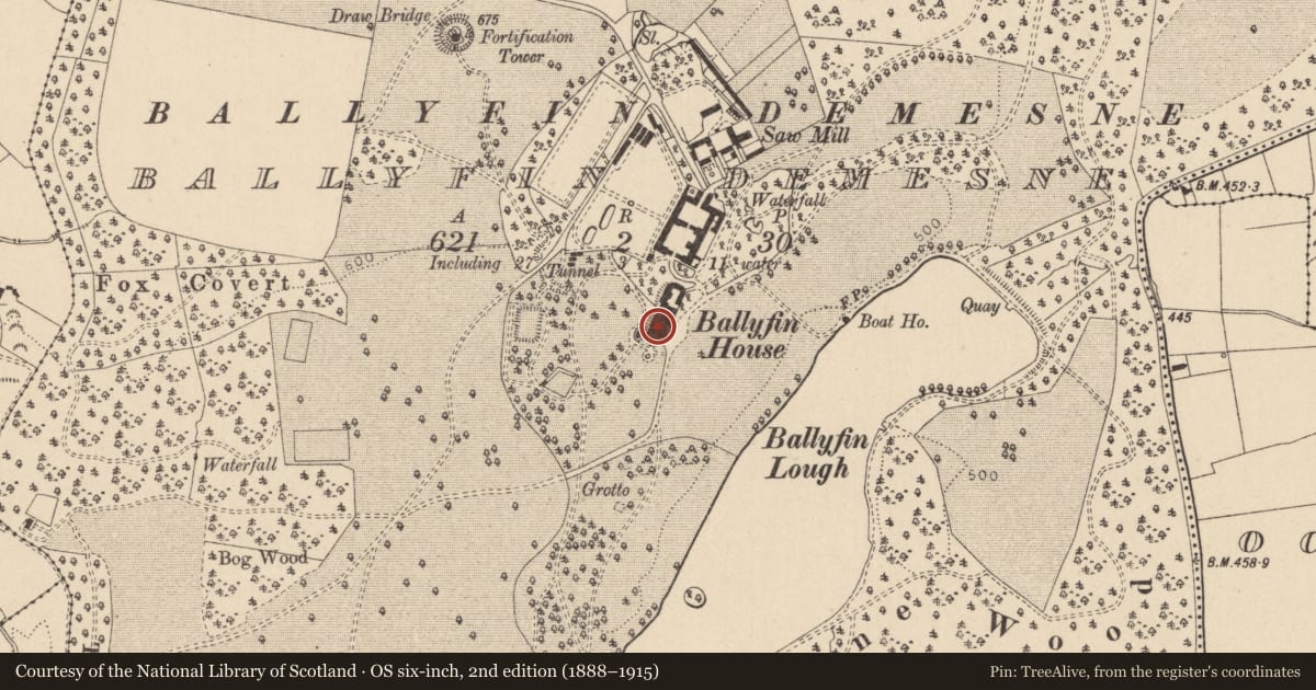 Ordnance Survey six-inch map, 2nd edition (1888–1915) covering the location of Castle - unclassified, Ballyfin Demesne, County Laois, with a pin at the register's coordinates