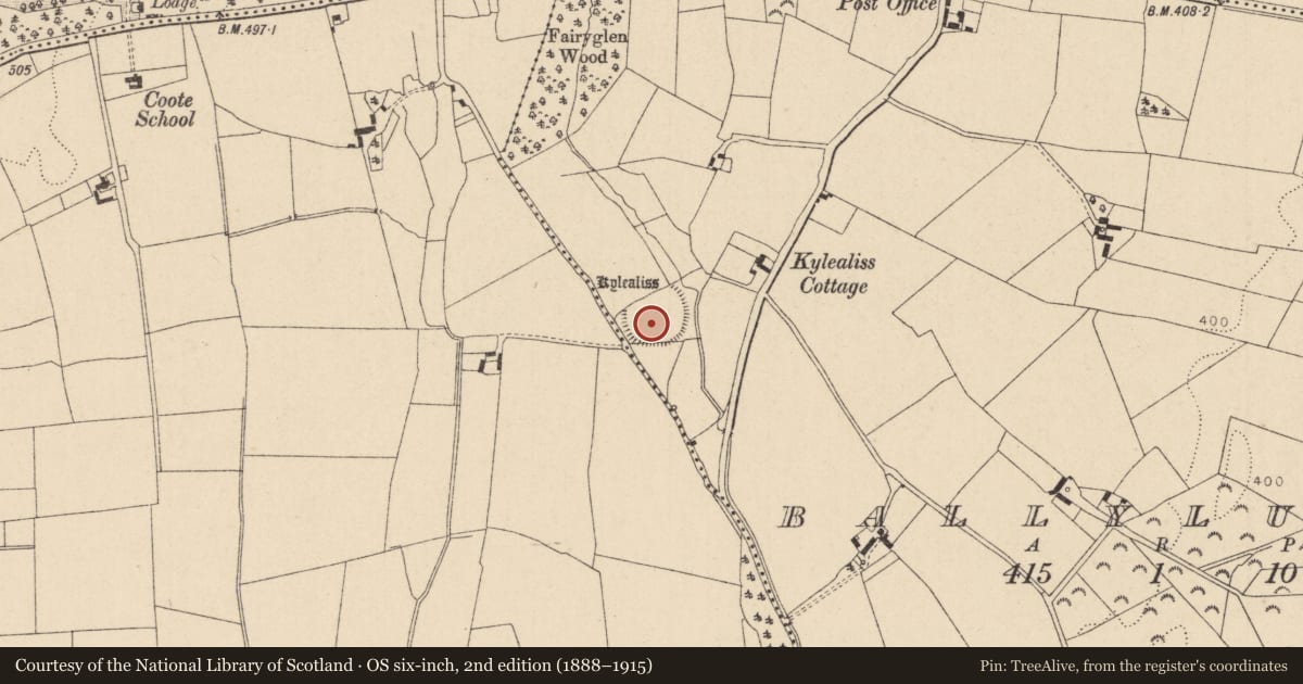 Ordnance Survey six-inch map, 2nd edition (1888–1915) covering the location of Children's burial ground, Ballylusk, County Laois, with a pin at the register's coordinates