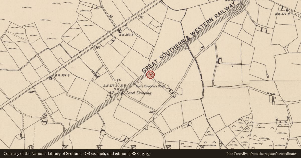 Ordnance Survey six-inch map, 2nd edition (1888–1915) covering the location of Enclosure, Clonkeen, County Laois, with a pin at the register's coordinates