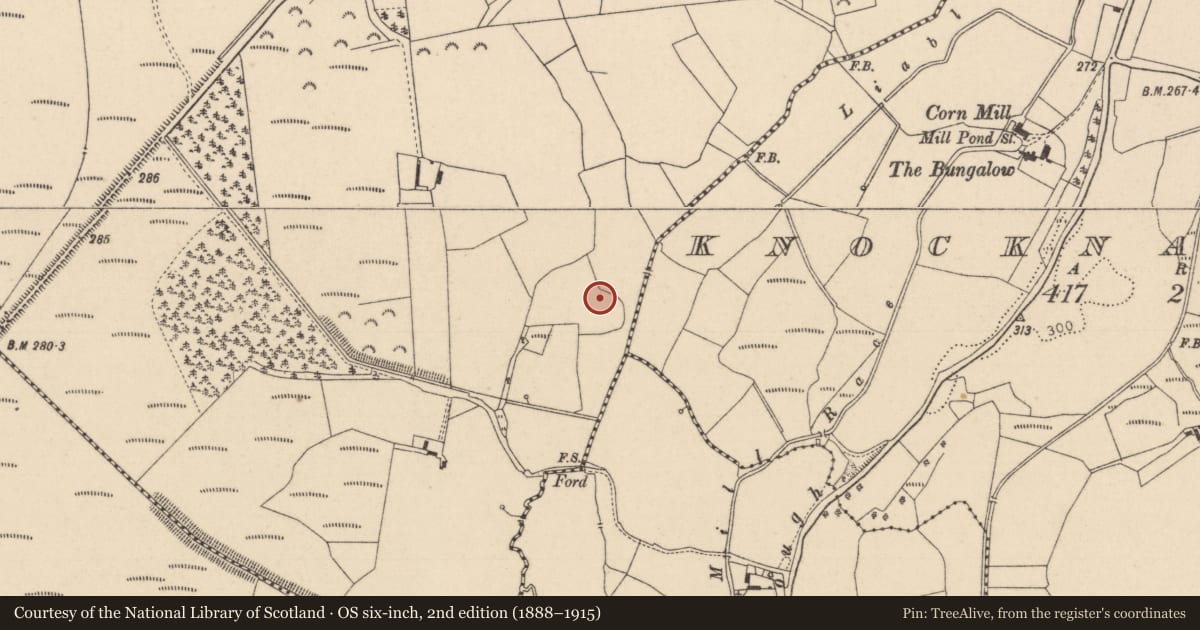 Ordnance Survey six-inch map, 2nd edition (1888–1915) covering the location of Enclosure, Kyletalesha, County Laois, with a pin at the register's coordinates