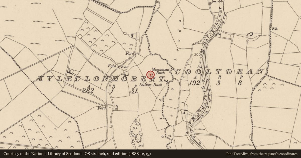 Ordnance Survey six-inch map, 2nd edition (1888–1915) covering the location of Church, Kyleclonhobert, County Laois, with a pin at the register's coordinates