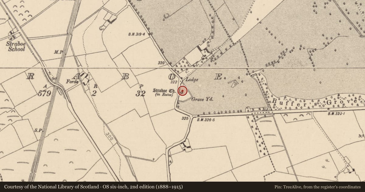 Ordnance Survey six-inch map, 2nd edition (1888–1915) covering the location of Church, Straboe, County Laois, with a pin at the register's coordinates
