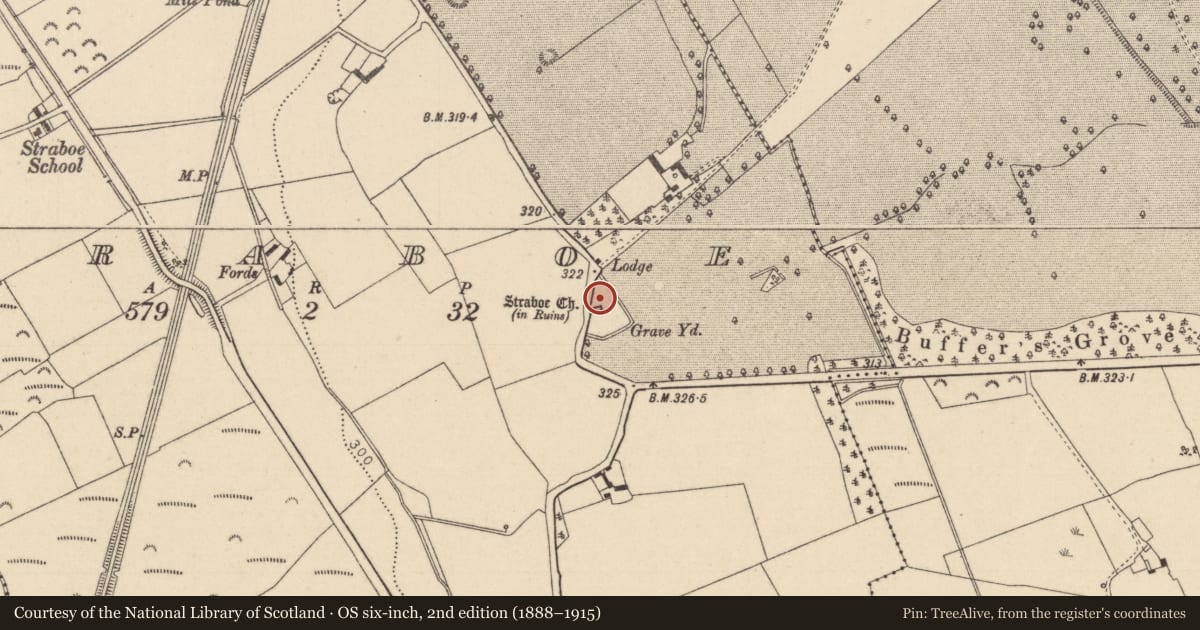 Ordnance Survey six-inch map, 2nd edition (1888–1915) covering the location of Graveyard, Straboe, County Laois, with a pin at the register's coordinates