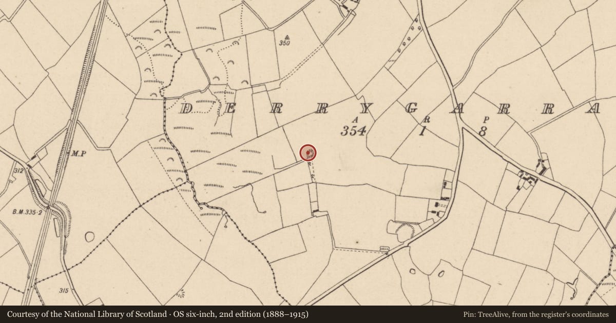 Ordnance Survey six-inch map, 2nd edition (1888–1915) covering the location of Enclosure, Derrygarran, County Laois, with a pin at the register's coordinates