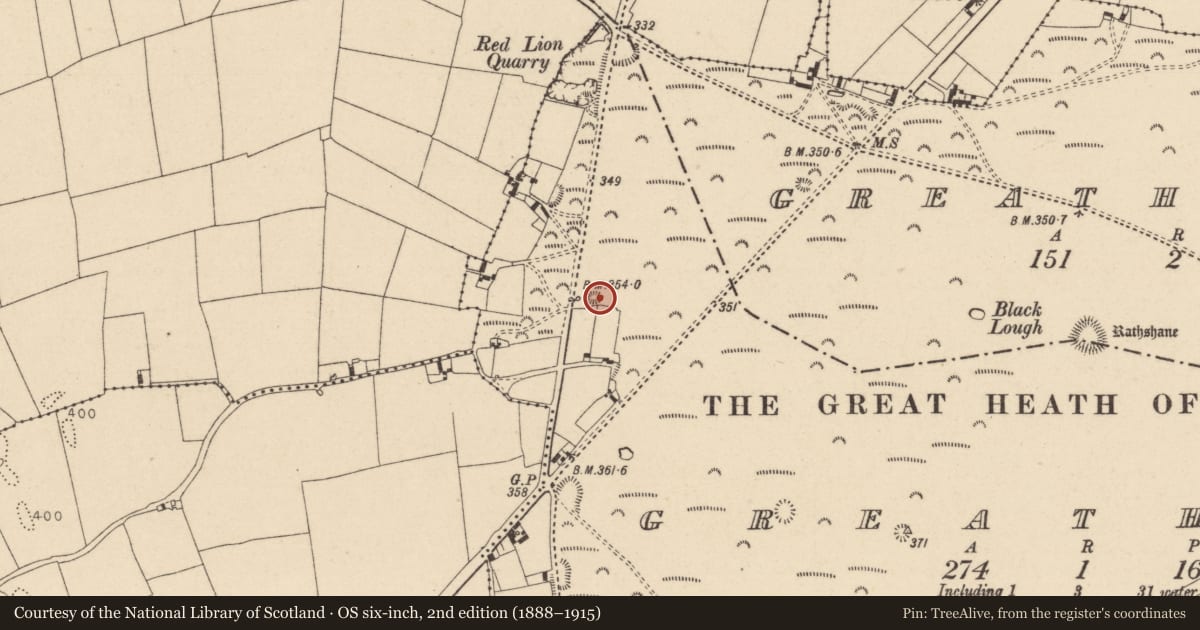 Ordnance Survey six-inch map, 2nd edition (1888–1915) covering the location of Enclosure, Greatheath, County Laois, with a pin at the register's coordinates