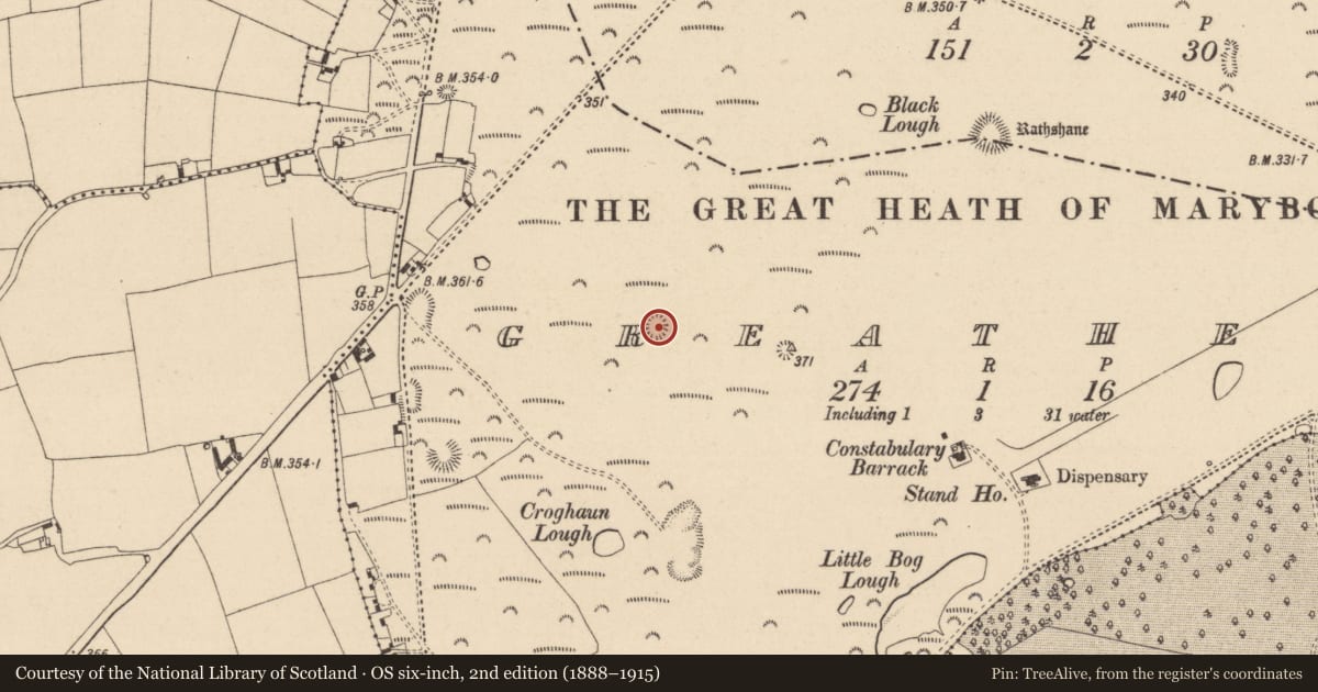 Ordnance Survey six-inch map, 2nd edition (1888–1915) covering the location of Barrow - ring-barrow, Greatheath, County Laois, with a pin at the register's coordinates