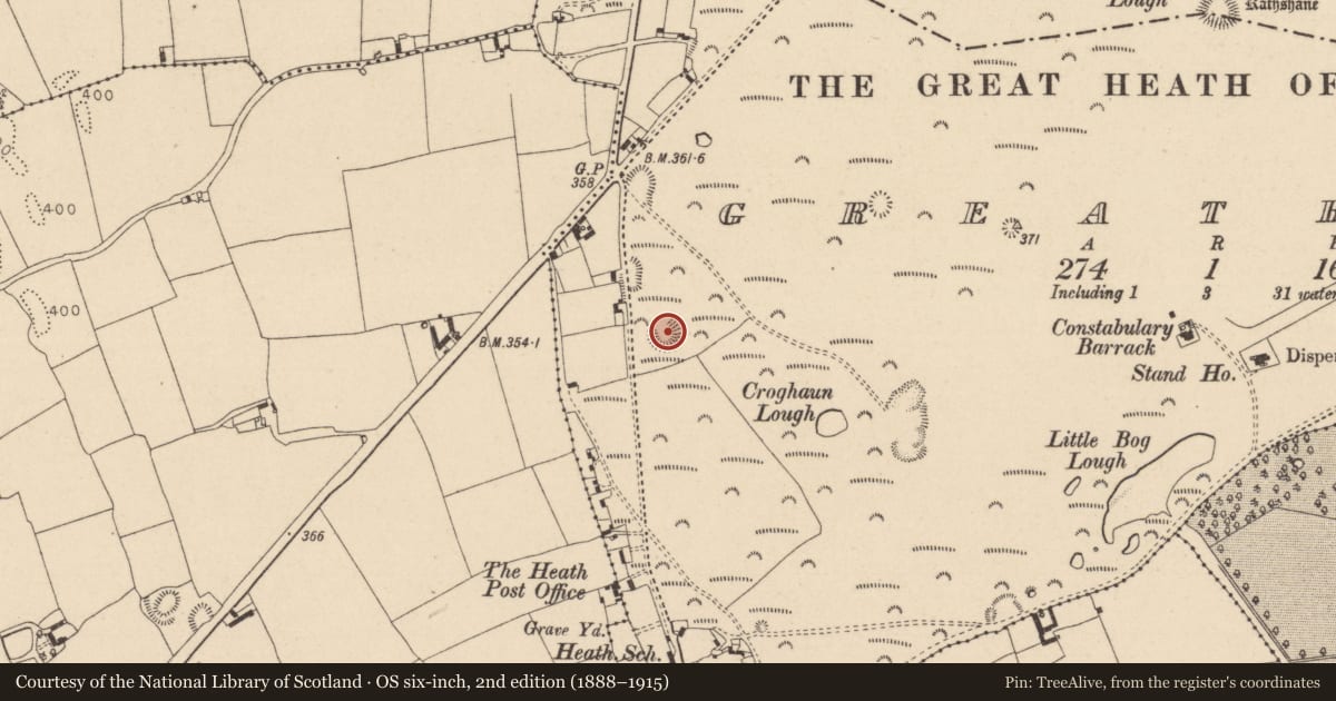 Ordnance Survey six-inch map, 2nd edition (1888–1915) covering the location of Barrow - ring-barrow, Greatheath, County Laois, with a pin at the register's coordinates