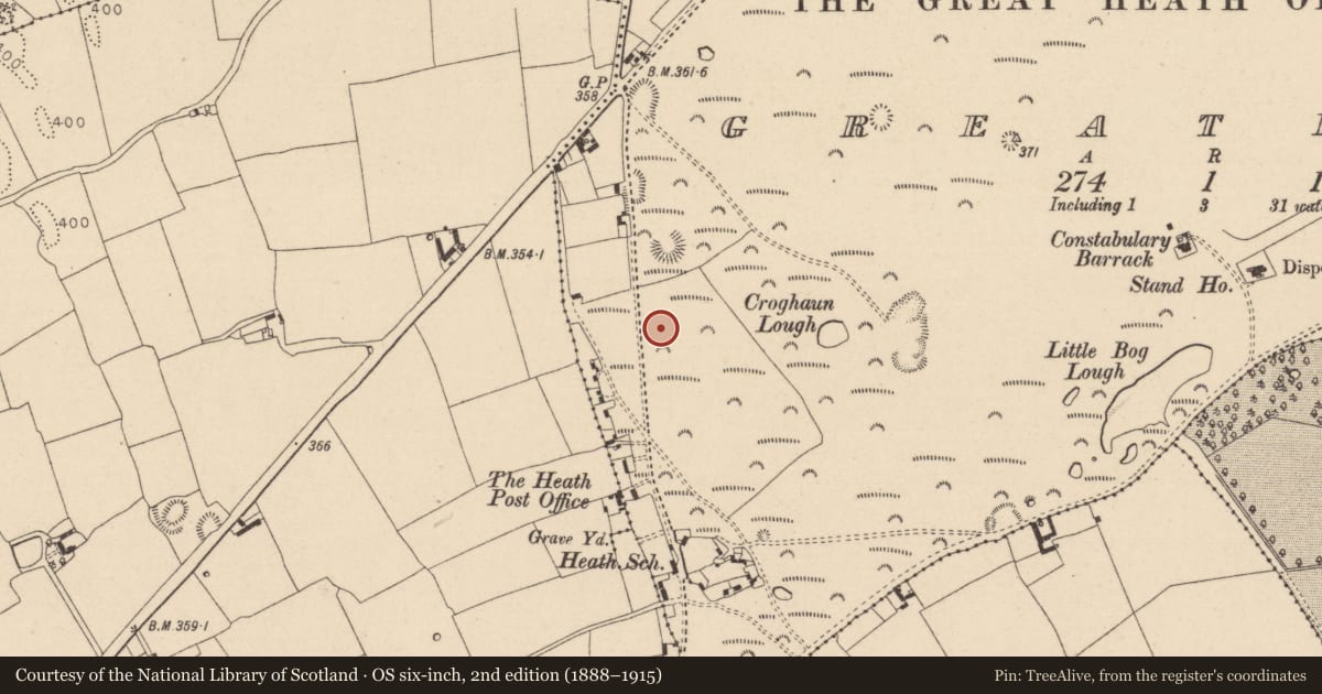 Ordnance Survey six-inch map, 2nd edition (1888–1915) covering the location of Barrow - ring-barrow, Greatheath, County Laois, with a pin at the register's coordinates