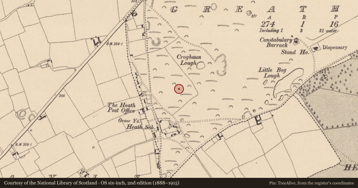 Ordnance Survey six-inch map, 2nd edition (1888–1915) covering the location of Barrow - ring-barrow, Greatheath, County Laois, with a pin at the register's coordinates