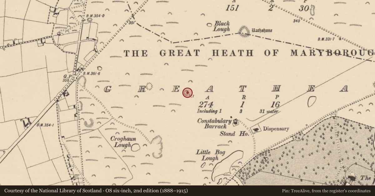 Ordnance Survey six-inch map, 2nd edition (1888–1915) covering the location of Barrow - ring-barrow, Greatheath, County Laois, with a pin at the register's coordinates