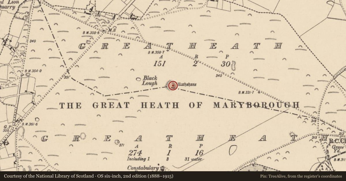 Ordnance Survey six-inch map, 2nd edition (1888–1915) covering the location of Ringfort - rath, Greatheath, Greatheath, County Laois, with a pin at the register's coordinates