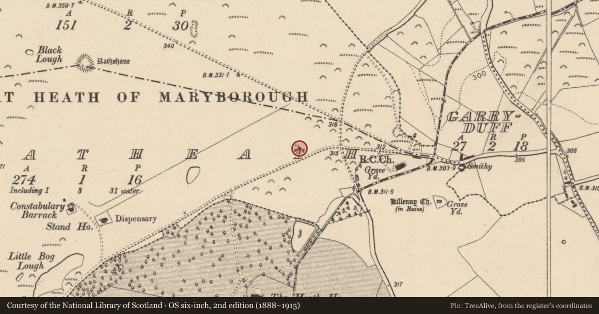 Ordnance Survey six-inch map, 2nd edition (1888–1915) covering the location of Enclosure, Greatheath, County Laois, with a pin at the register's coordinates