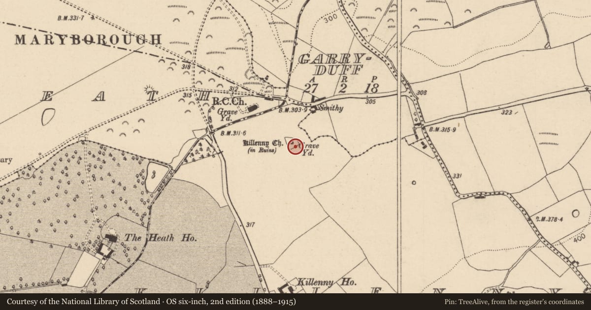 Ordnance Survey six-inch map, 2nd edition (1888–1915) covering the location of Graveyard, Killenny, County Laois, with a pin at the register's coordinates
