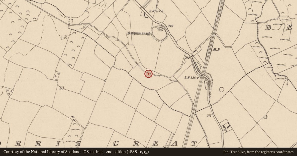 Ordnance Survey six-inch map, 2nd edition (1888–1915) covering the location of Enclosure, Rathnamanagh, County Laois, with a pin at the register's coordinates