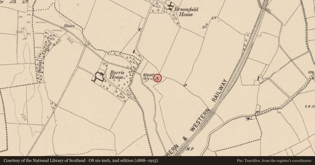 Ordnance Survey six-inch map, 2nd edition (1888–1915) covering the location of Church, Borris Great, County Laois, with a pin at the register's coordinates