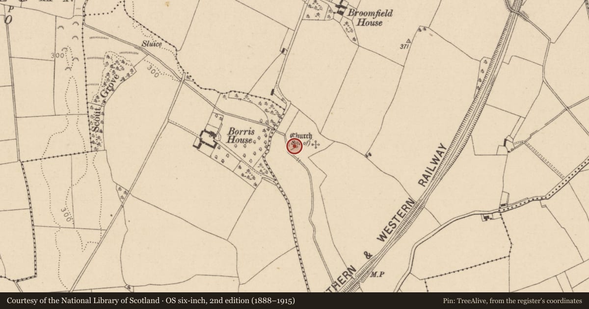Ordnance Survey six-inch map, 2nd edition (1888–1915) covering the location of Ritual site - holy well, Borris Great, County Laois, with a pin at the register's coordinates
