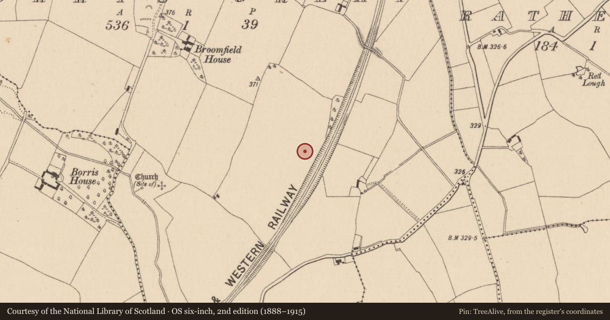 Ordnance Survey six-inch map, 2nd edition (1888–1915) covering the location of Enclosure, Borris Great, County Laois, with a pin at the register's coordinates