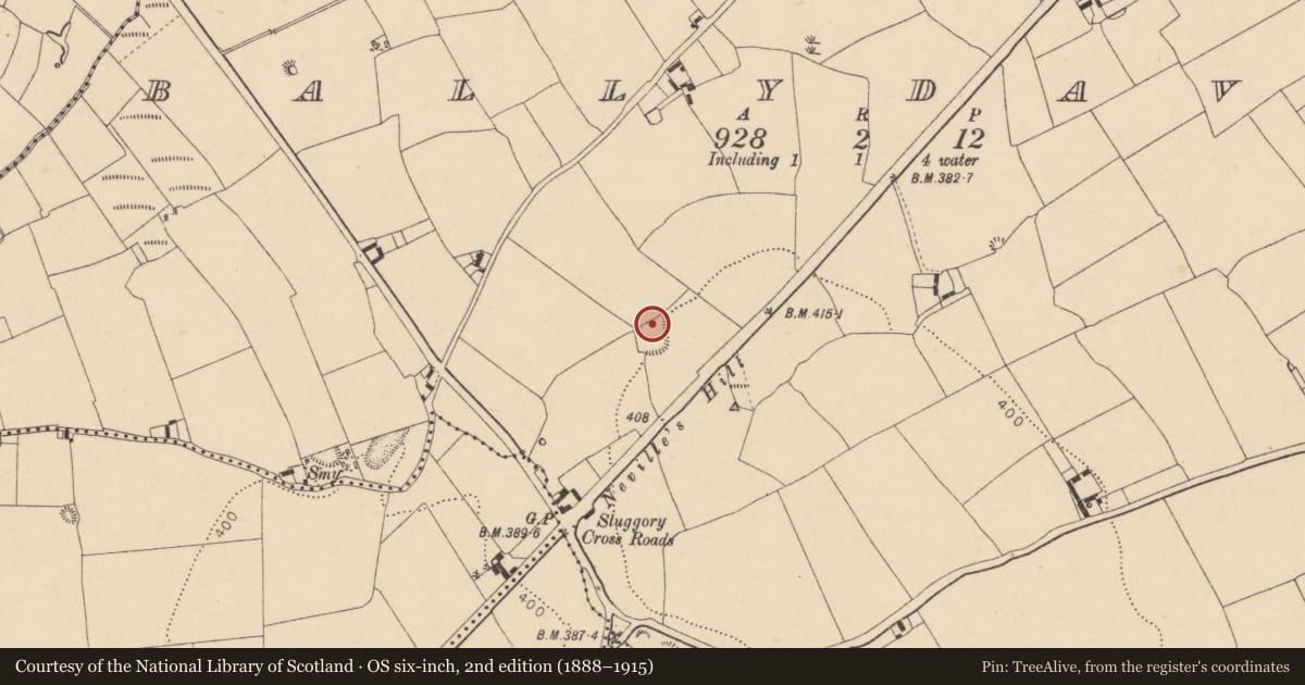 Ordnance Survey six-inch map, 2nd edition (1888–1915) covering the location of Moated site, Ballydavis, County Laois, with a pin at the register's coordinates