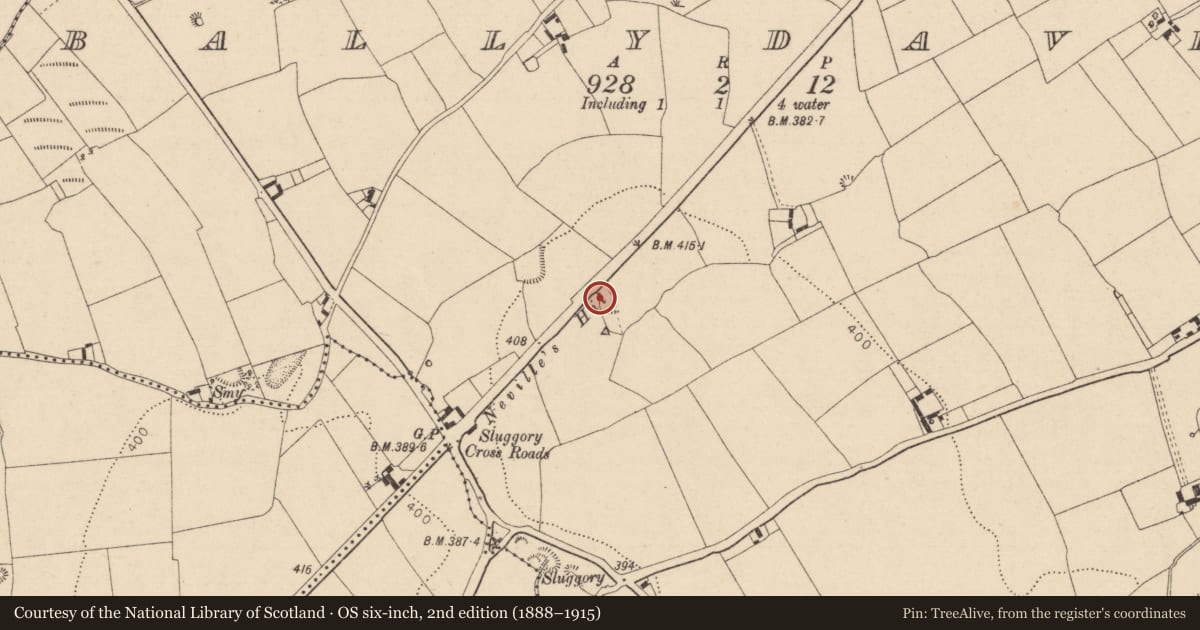 Ordnance Survey six-inch map, 2nd edition (1888–1915) covering the location of Moated site, Ballydavis, County Laois, with a pin at the register's coordinates