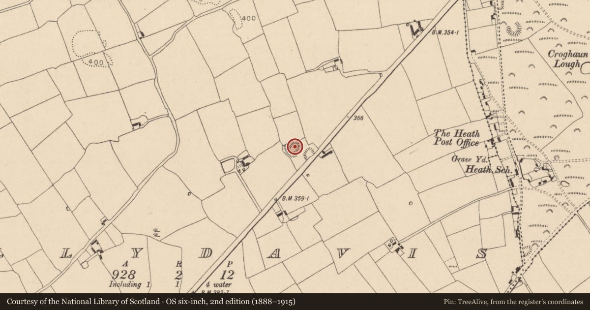 Ordnance Survey six-inch map, 2nd edition (1888–1915) covering the location of Burial, Ballydavis, County Laois, with a pin at the register's coordinates