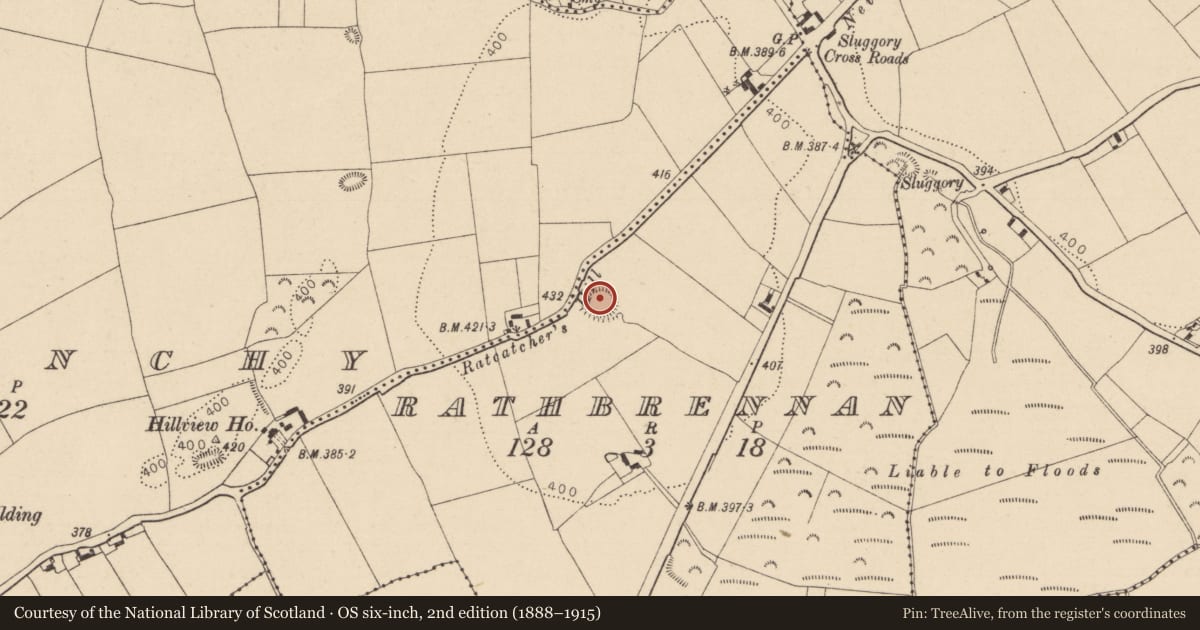 Ordnance Survey six-inch map, 2nd edition (1888–1915) covering the location of Ringfort - rath, Rathbrennan, County Laois, with a pin at the register's coordinates