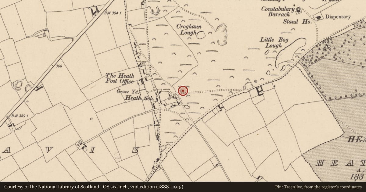 Ordnance Survey six-inch map, 2nd edition (1888–1915) covering the location of Barrow - ring-barrow, Greatheath, County Laois, with a pin at the register's coordinates