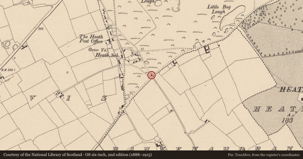 Ordnance Survey six-inch map, 2nd edition (1888–1915) covering the location of Barrow - ring-barrow, Greatheath, County Laois, with a pin at the register's coordinates