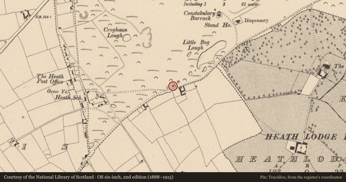 Ordnance Survey six-inch map, 2nd edition (1888–1915) covering the location of Ringfort - rath, Greatheath, County Laois, with a pin at the register's coordinates