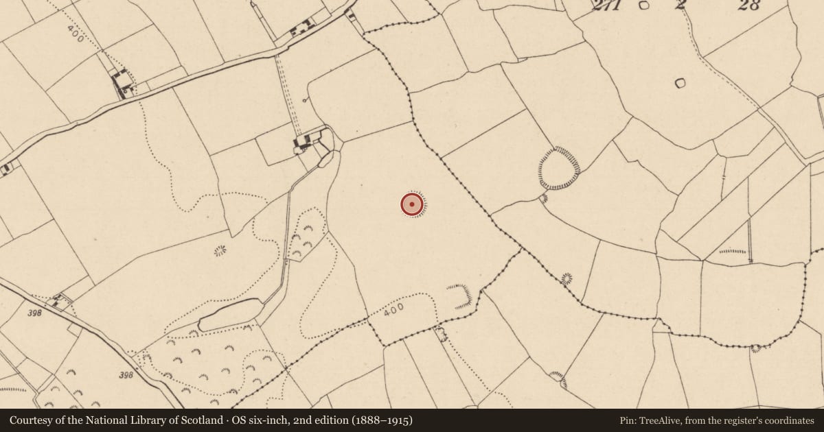 Ordnance Survey six-inch map, 2nd edition (1888–1915) covering the location of Ringfort - rath, Ballydavis, County Laois, with a pin at the register's coordinates