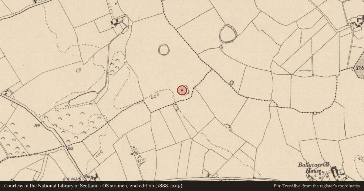 Ordnance Survey six-inch map, 2nd edition (1888–1915) covering the location of Moated site, Ballydavis, County Laois, with a pin at the register's coordinates