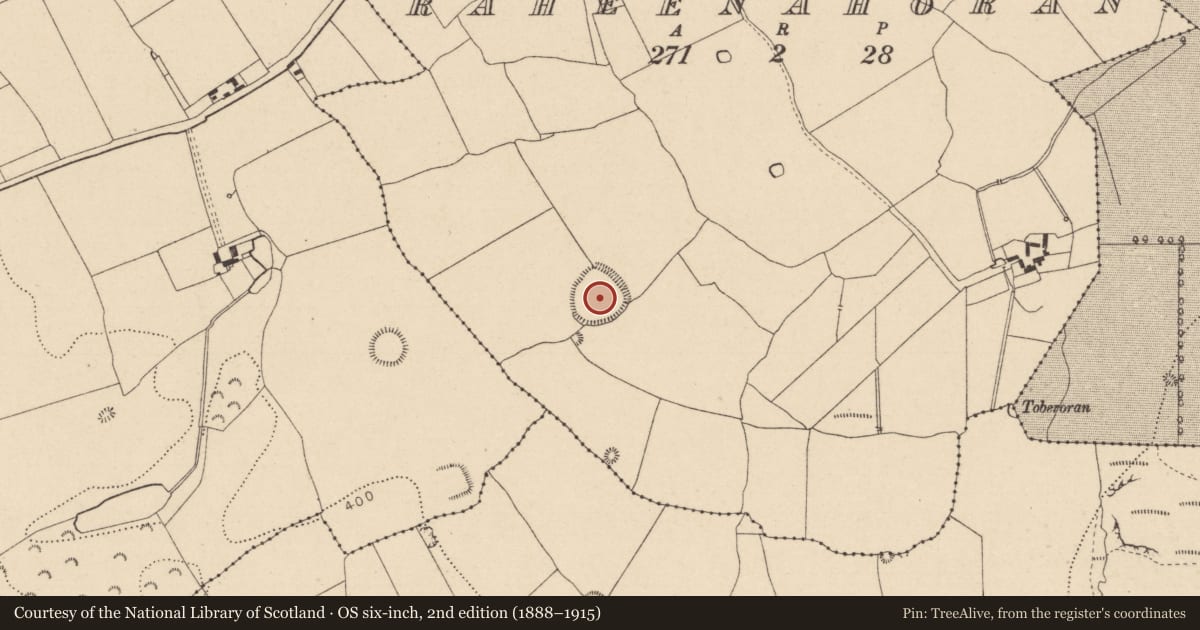 Ordnance Survey six-inch map, 2nd edition (1888–1915) covering the location of Ringfort - rath, Raheenahoran, County Laois, with a pin at the register's coordinates