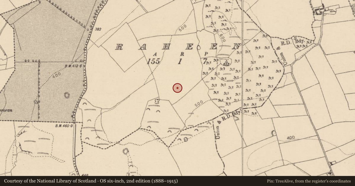 Ordnance Survey six-inch map, 2nd edition (1888–1915) covering the location of Enclosure, Raheen, County Laois, with a pin at the register's coordinates