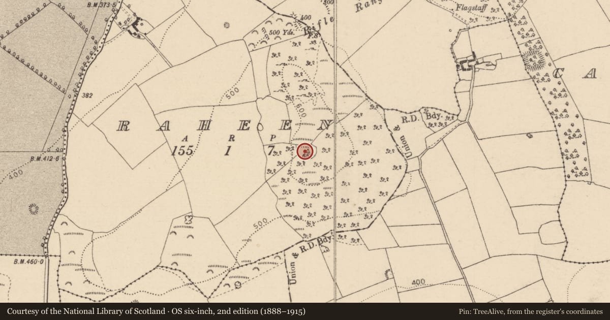 Ordnance Survey six-inch map, 2nd edition (1888–1915) covering the location of Enclosure, Raheen, County Laois, with a pin at the register's coordinates