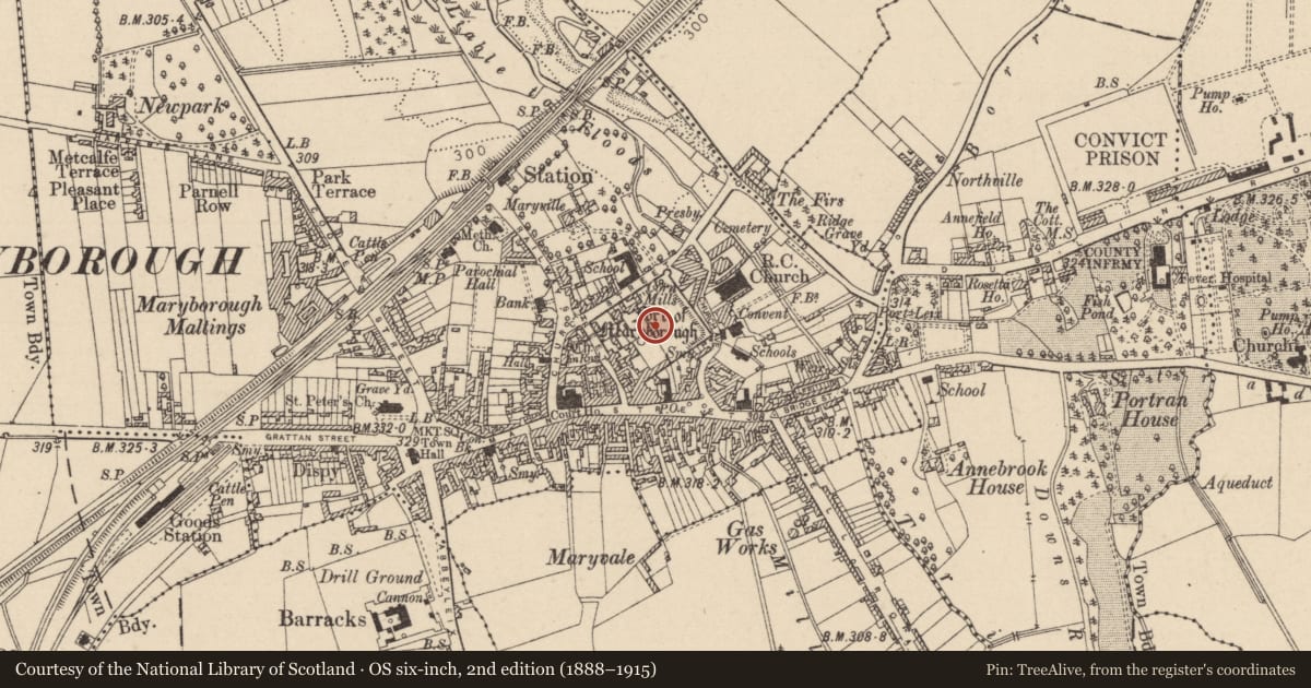 Ordnance Survey six-inch map, 2nd edition (1888–1915) covering the location of Castle - unclassified, Maryborough, County Laois, with a pin at the register's coordinates