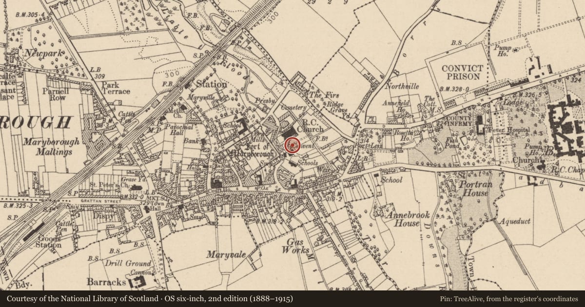 Ordnance Survey six-inch map, 2nd edition (1888–1915) covering the location of Castle - tower house, Maryborough, County Laois, with a pin at the register's coordinates